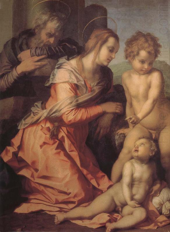 Andrea del Sarto Holy family china oil painting image